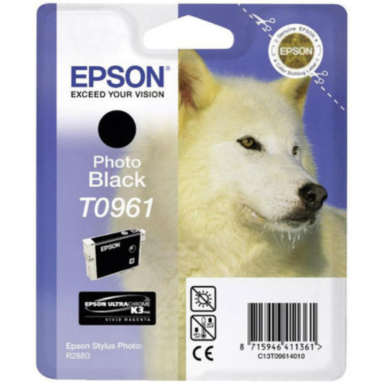 Epson T0894 Orjinal Sari Kartus-C13T08944020