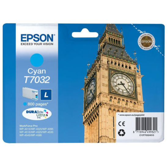 Epson T7031 Orjinal Siyah Kartus-C13T70314010  