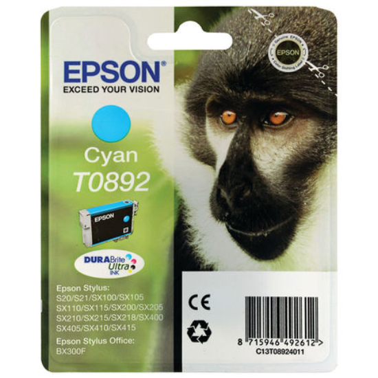 Epson T0891 Orjinal Siyah  Kartus-C13T08914020
