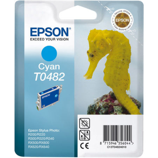 Epson T0481 Orjinal Siyah Kartus-C13T04814020
