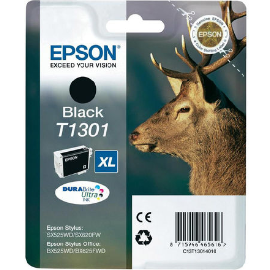 Epson C13T01C100 Orjinal Siyah Kartus