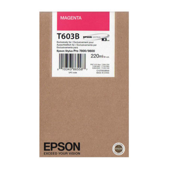 Epson T6039 Orjinal Açik Açik Siyah Kartus-C13T603900 