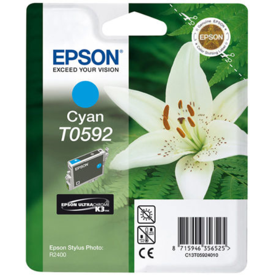 Epson T0591 Orjinal Foto Siyah Kartus-C13T05914020