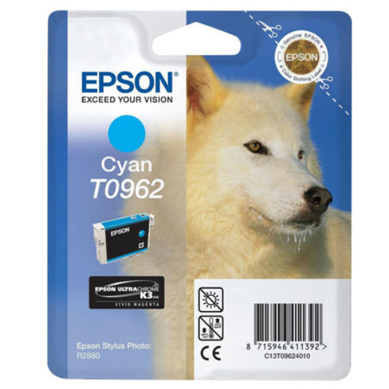 Epson T0961 Orjinal Siyah Kartus-C13T09614020