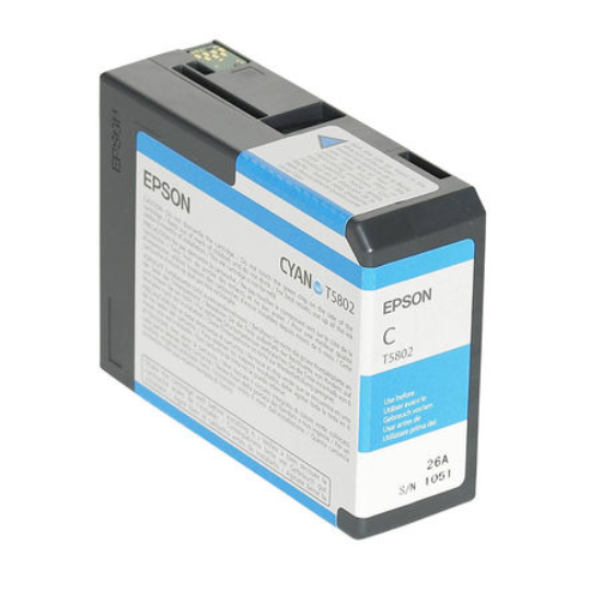 Epson T5801 Orjinal Foto Siyah Kartus-C13T580100