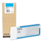 Epson T6061 Orjinal Foto Siyah Kartus-C13T606100 