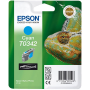 Epson T0341 Orjinal Siyah Kartus-C13T03414020