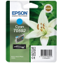 Epson T0591 Orjinal Foto Siyah Kartus-C13T05914020
