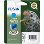 Epson T0791 Orjinal Siyah Kartus-C13T07914020
