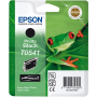 Epson T0540 Orjinal Parlaklik Düzenleyici Kartus-C13T05404020
